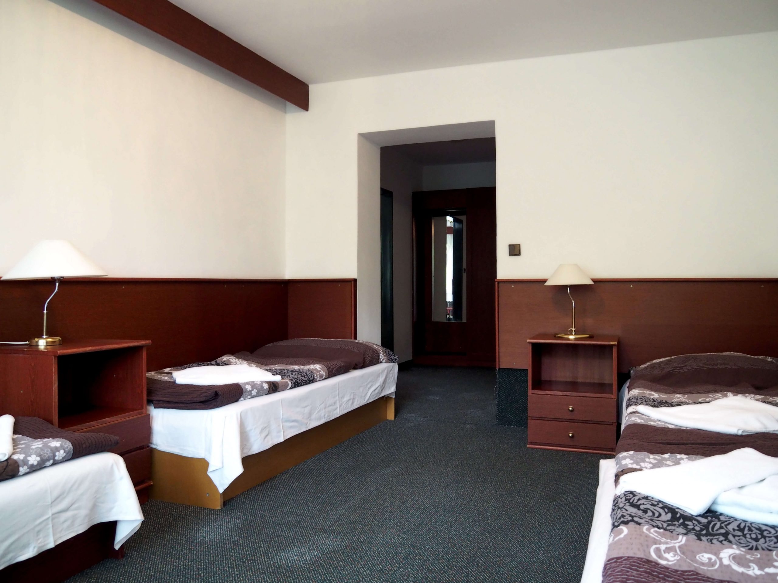 Hotel Astra Srby u města Kladno pokoj 101B (6)